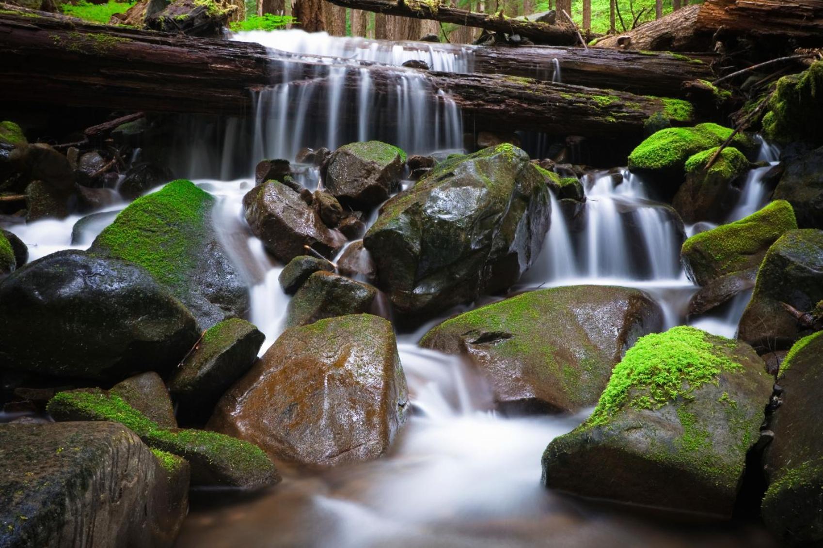 Sol Duc Hot Springs Resort Ovington Zewnętrze zdjęcie