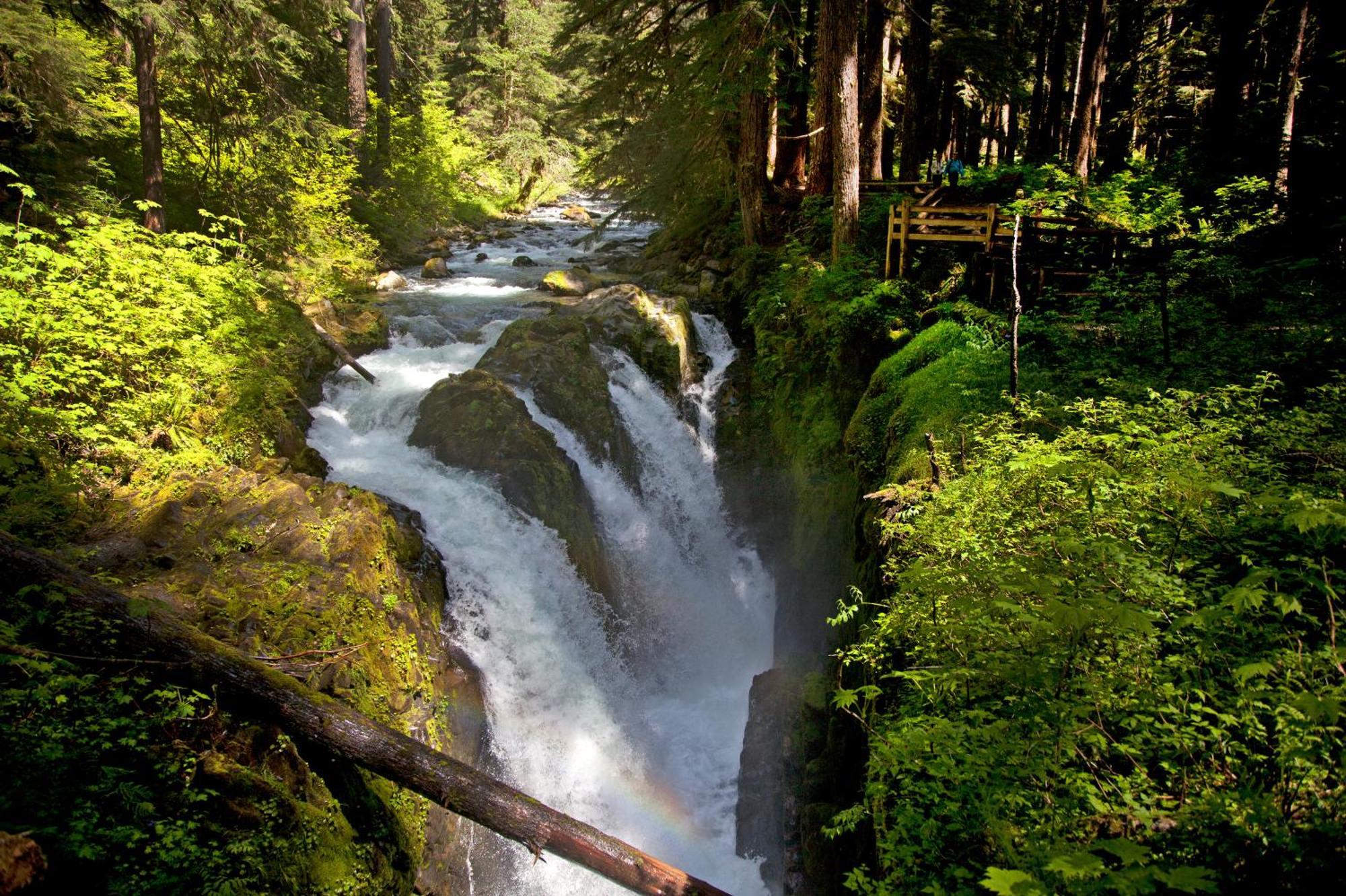 Sol Duc Hot Springs Resort Ovington Zewnętrze zdjęcie